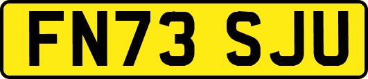 FN73SJU