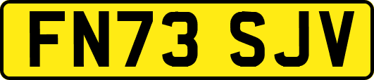 FN73SJV