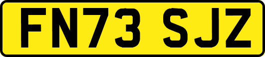 FN73SJZ