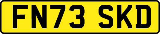 FN73SKD