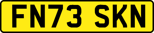 FN73SKN