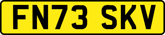 FN73SKV