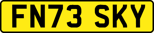 FN73SKY