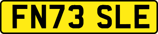 FN73SLE