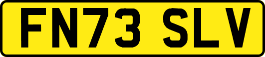 FN73SLV