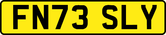 FN73SLY