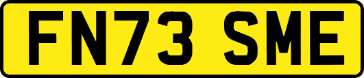 FN73SME