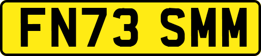 FN73SMM