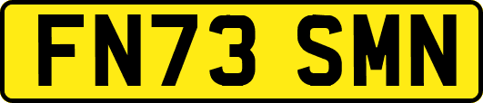 FN73SMN