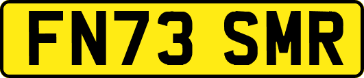 FN73SMR