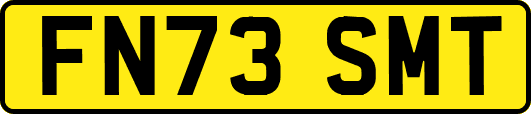 FN73SMT