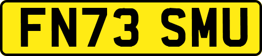 FN73SMU