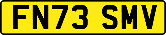 FN73SMV