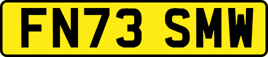 FN73SMW