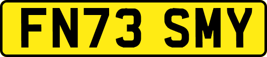 FN73SMY