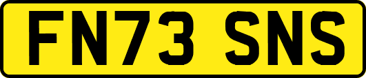 FN73SNS