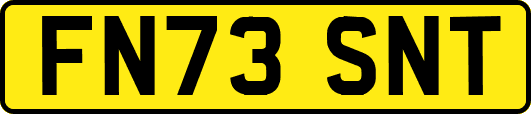 FN73SNT