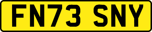 FN73SNY