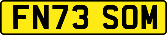 FN73SOM