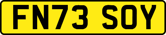 FN73SOY