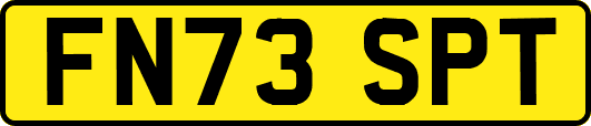 FN73SPT