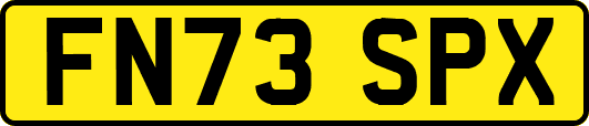 FN73SPX