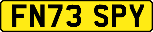 FN73SPY