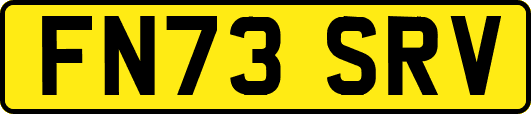 FN73SRV