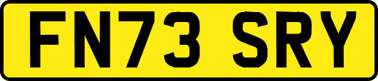 FN73SRY