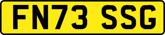 FN73SSG