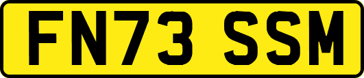FN73SSM