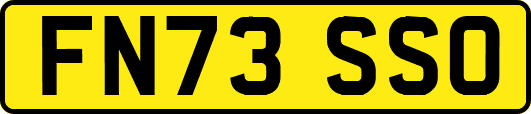 FN73SSO