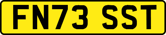 FN73SST