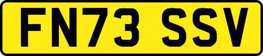 FN73SSV