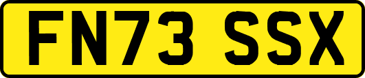 FN73SSX