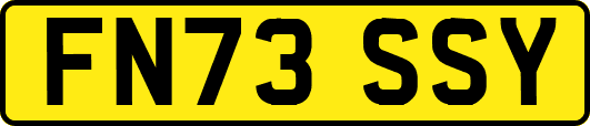FN73SSY