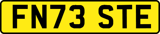 FN73STE
