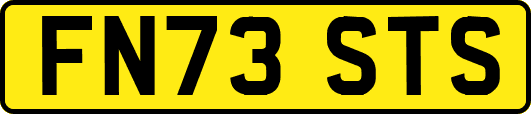 FN73STS