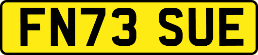 FN73SUE