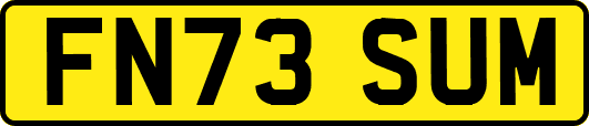FN73SUM