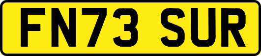 FN73SUR