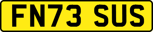 FN73SUS
