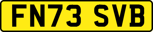 FN73SVB