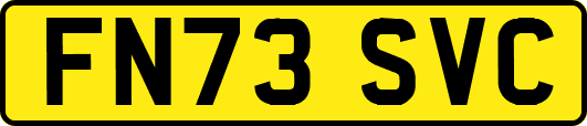 FN73SVC