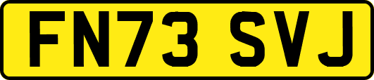 FN73SVJ