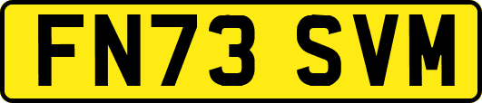 FN73SVM