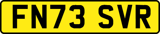 FN73SVR