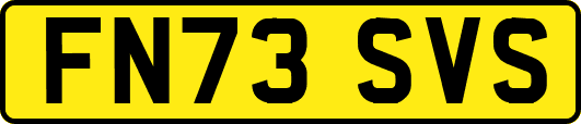 FN73SVS