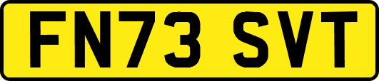 FN73SVT