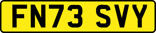 FN73SVY